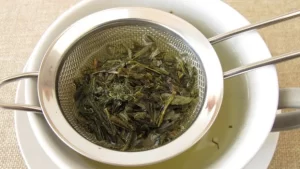 الطريقة الصحيحة لتحضير الشاي الأخضر