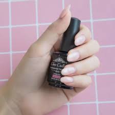 الفرق بين الهارد جيل والبولي جيل