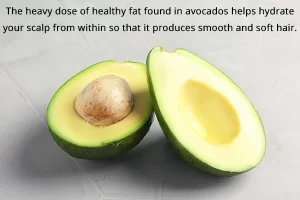 الغذاء المفيد للشعر المتساقط