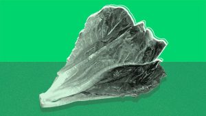 طرق حفظ الخضروات والفواكه من التلف