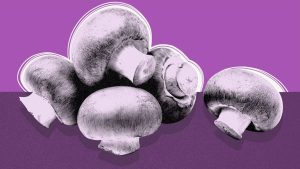 طرق حفظ الخضروات والفواكه من التلف