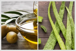 زيت الزيتون والصبار للشعر