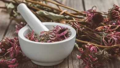 نباتات طبية وفوائدها