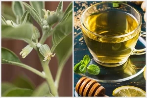 طرق طبيعية لخفض الكورتيزول المرتفع