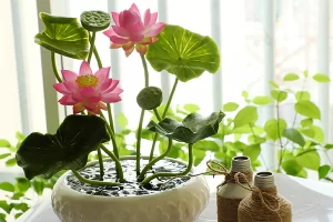 نباتات تجلب الطاقة الإيجابية
